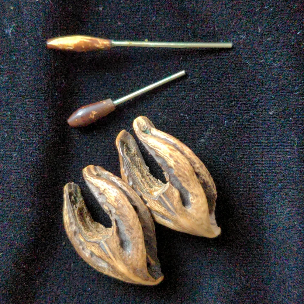 Wood/Nut Earrings - Picture 4 of 5
